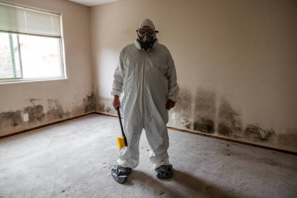 Best Mold Remediation for Specific Building Types in Frenchtown, MT